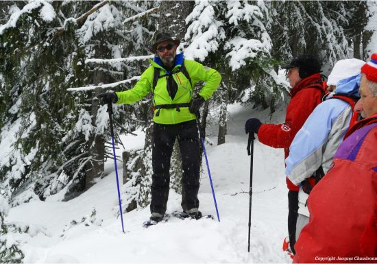 Rando raquettes dans les prairies d&rsquo;alpage
