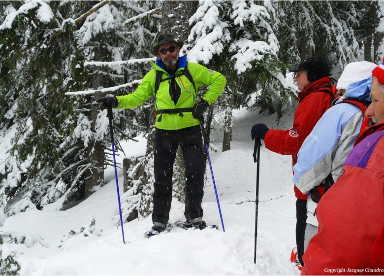 Rando raquettes dans les prairies d’alpage