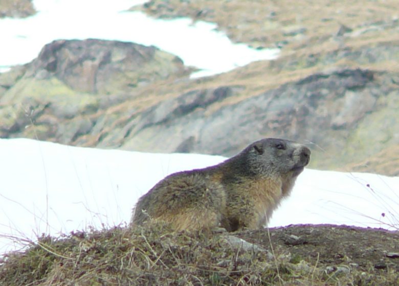 Au pied des Aiguilles d’Arves par la Basse du Gerbier