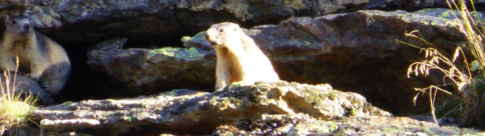 Randonnée dans le Parc National de la Vanoise