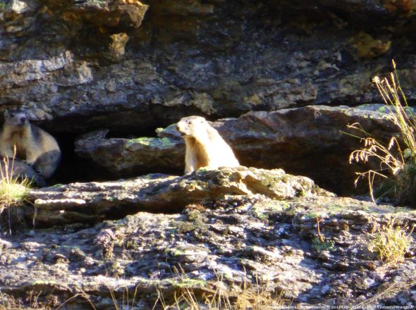 Randonnée dans le Parc National de la Vanoise