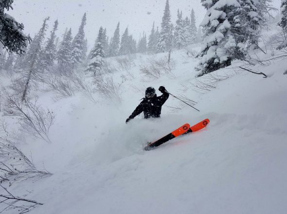 Sortie freeride