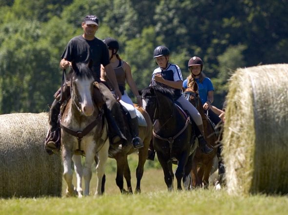 Baptême d’équitation poney en main