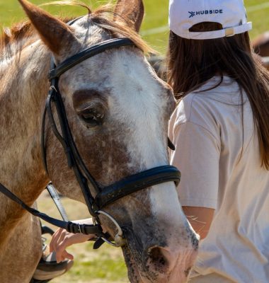 Activités plein air