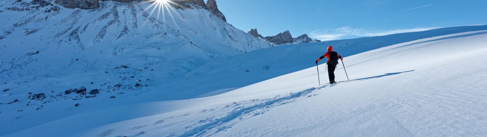 Panorama et faune en raquettes avec l&rsquo;ESF