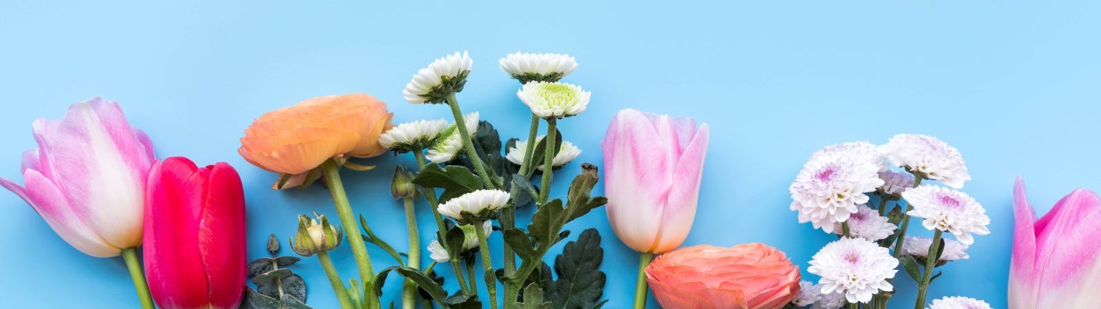 Fêtes des fleurs et du jardin