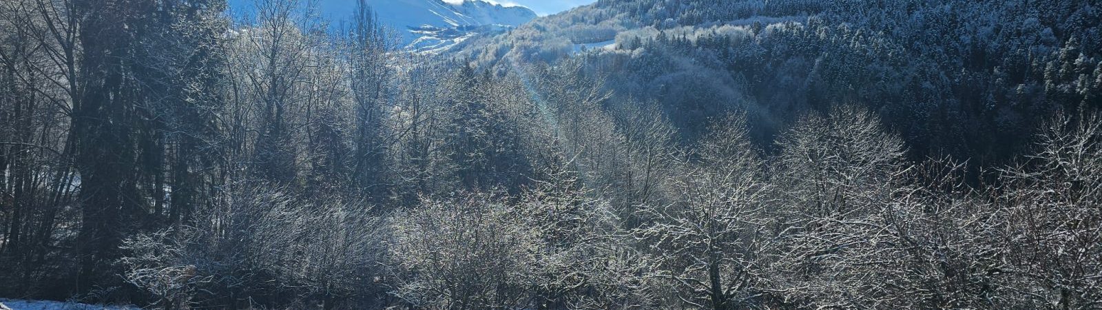 Balade à cheval dans la neige