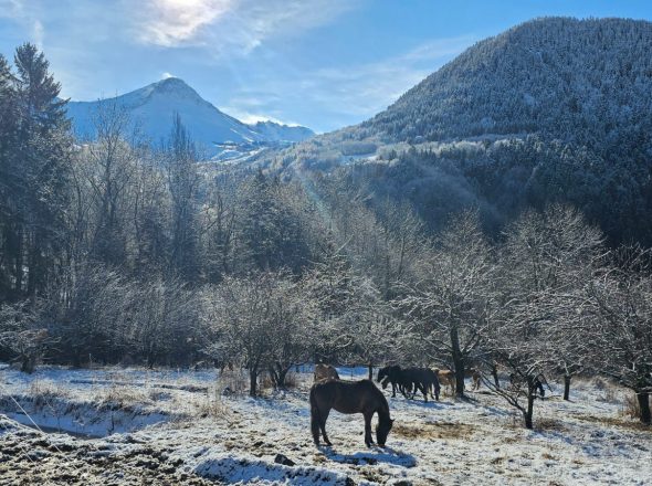 Balade à cheval dans la neige