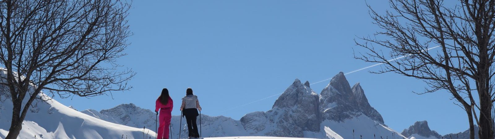 En raquettes à la ferme