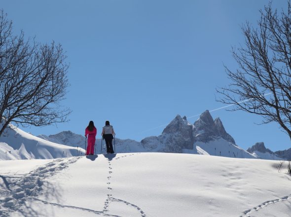 En raquettes à la ferme