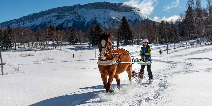 Glisse&rsquo;Z Découverte – Ski Joëring et Poney Luge