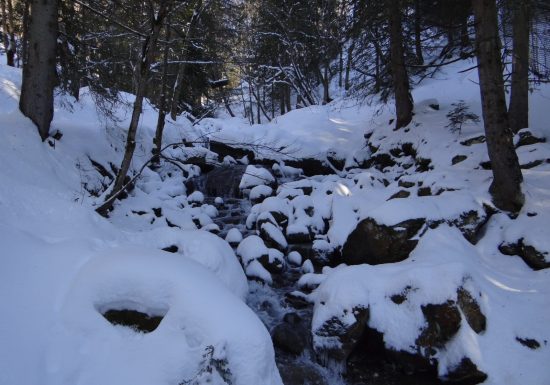 Itinéraire raquette – Le sentier des Paquiers (2)