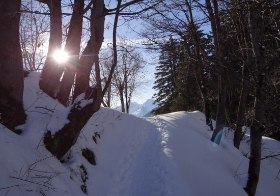 Itinéraire raquette – Le sentier des Paquiers (2)