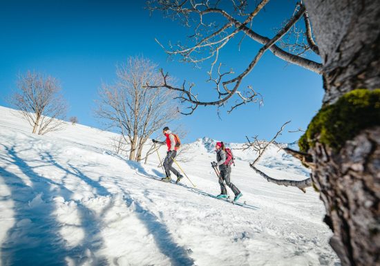 Itinéraire Ski de randonnée – Col de la Madeleine