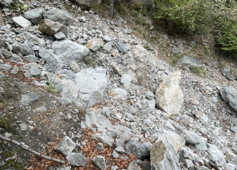 Balcon du rocher aux chamois