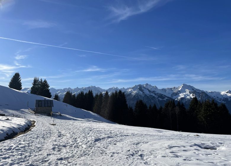 Le Chalet du Mélèze