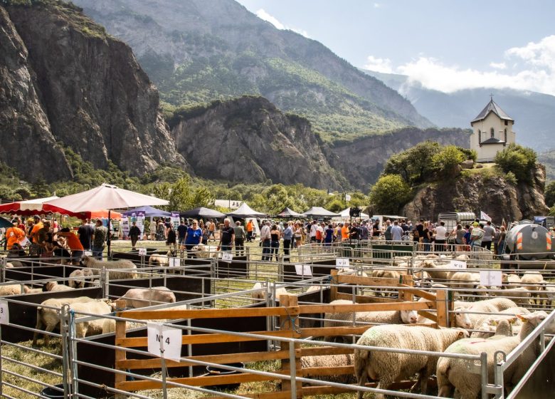 Fête de la brebis de Pontamafrey