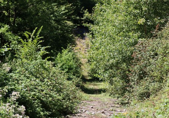 Balcon du rocher aux chamois