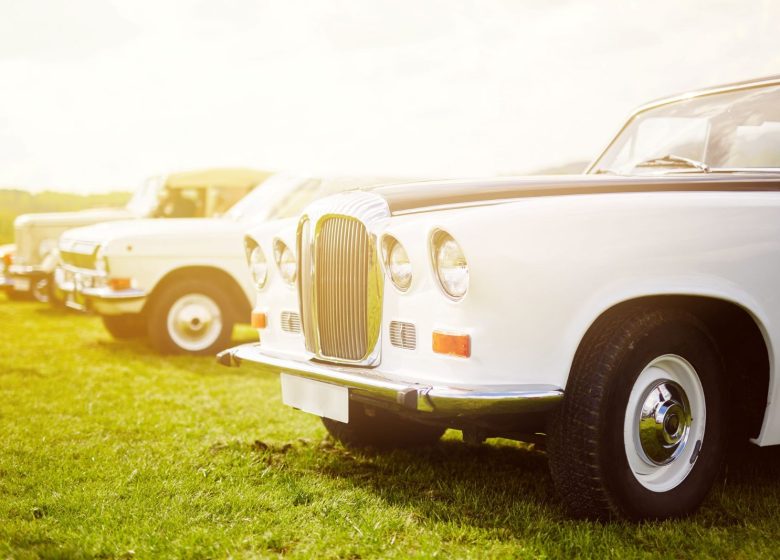 Les trésors oubliés