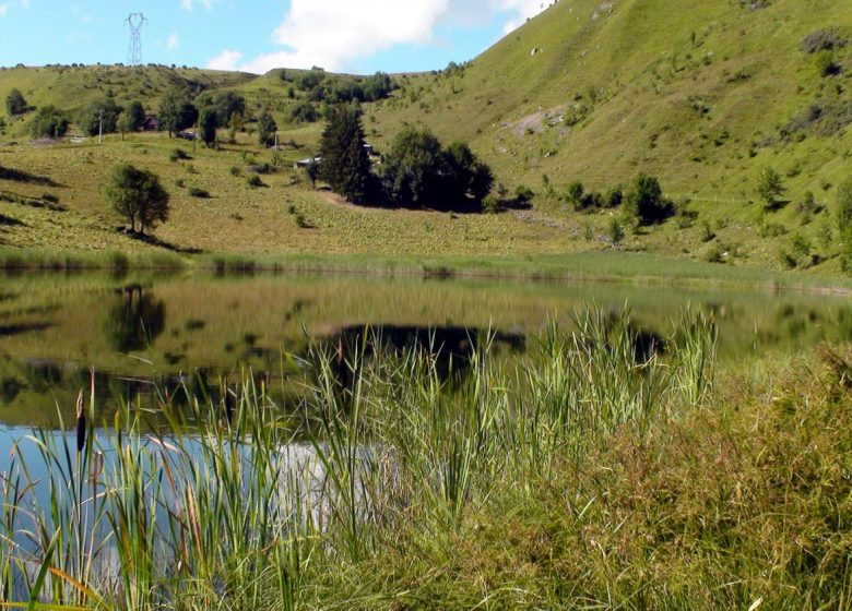 Lac du Loup