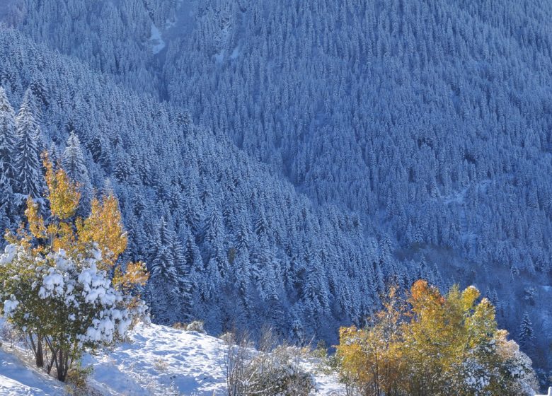 Lac du Loup