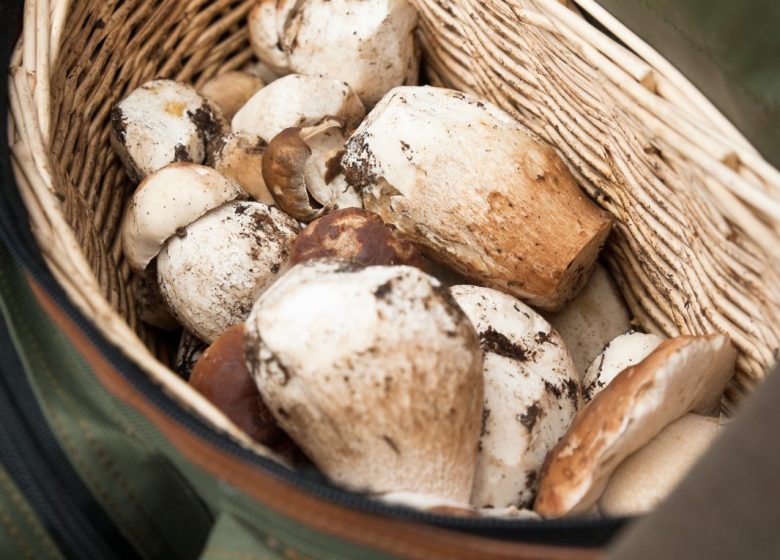 La Boucle du Lac de la Grande Léchère (3)