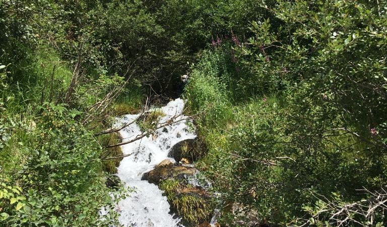 Circuit VTT – VAE LES PAQUIERS
