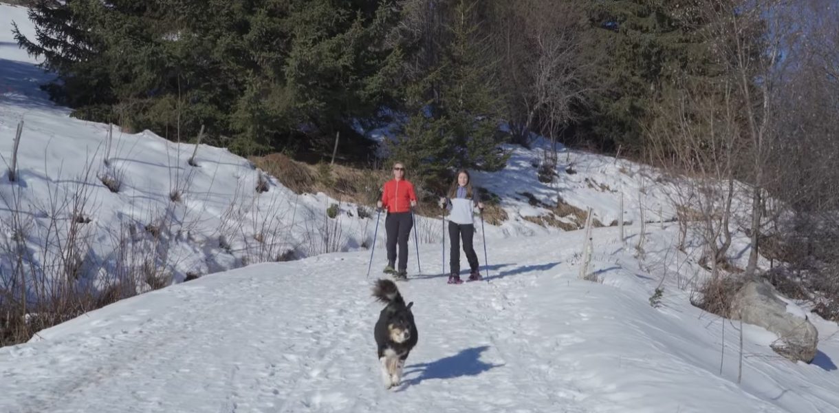 Le Grand Coin en images