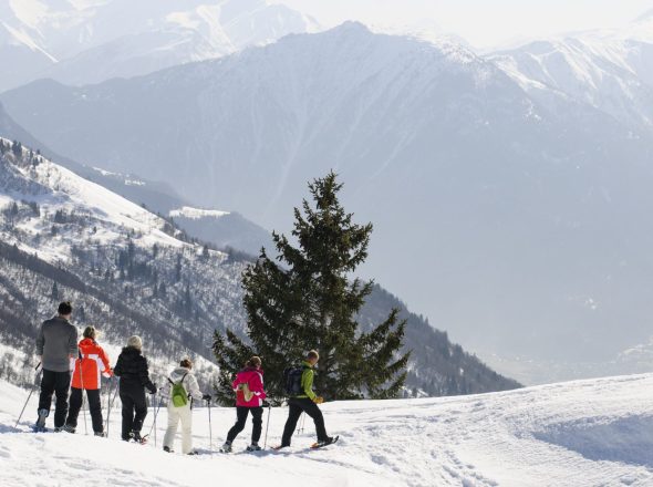 Randonnée Raquette Entre Forêt et Alpages