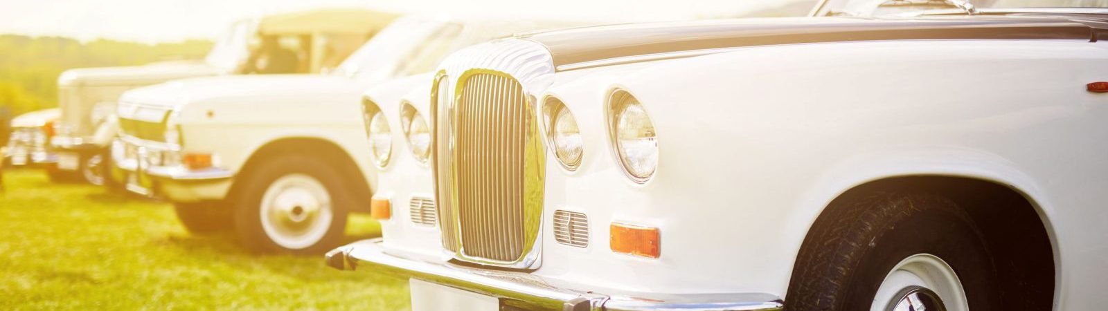 Les trésors oubliés