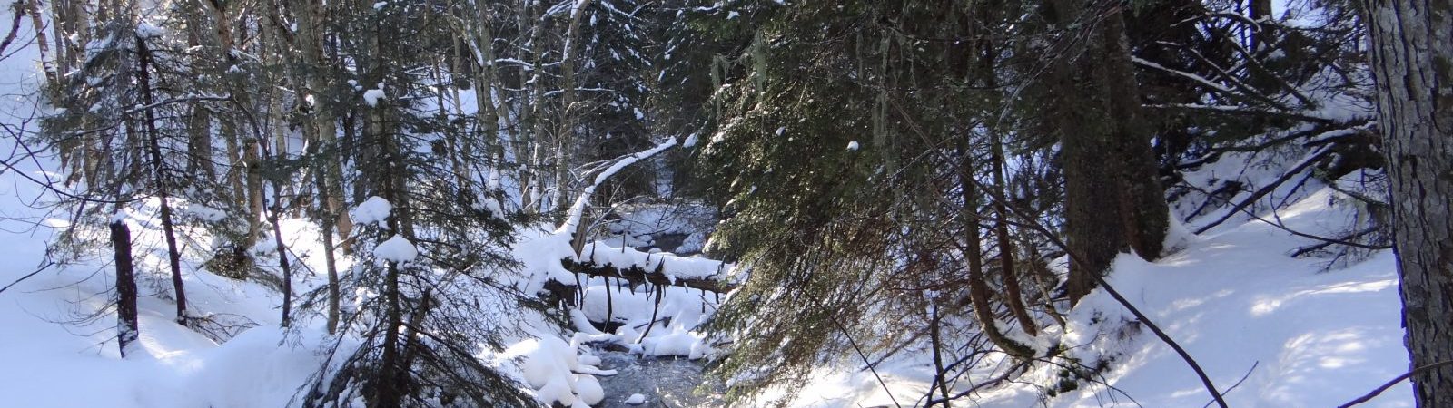 Itinéraire raquette – Le sentier des Paquiers (2)