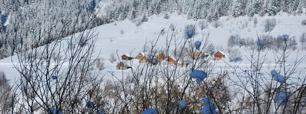 Itinéraire raquette – Le chemin de 1450 (4)