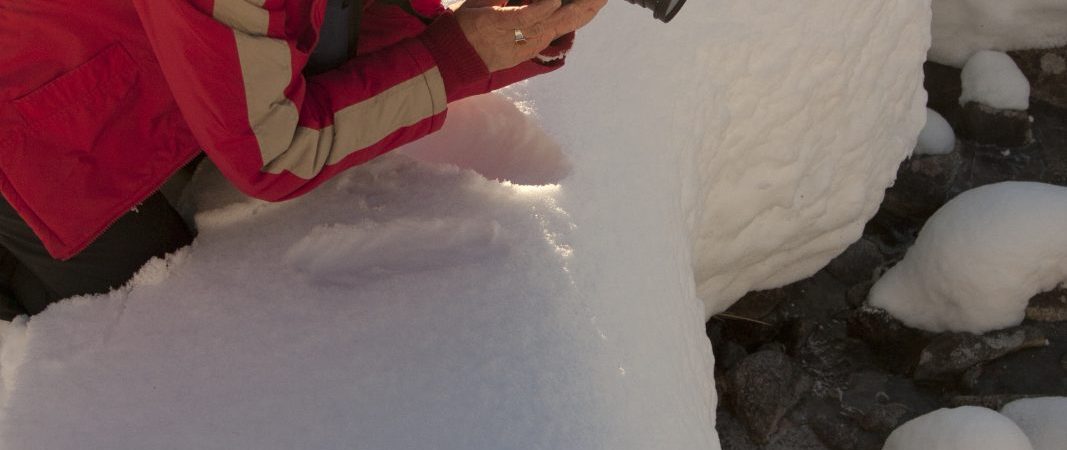 Initiation à la photo