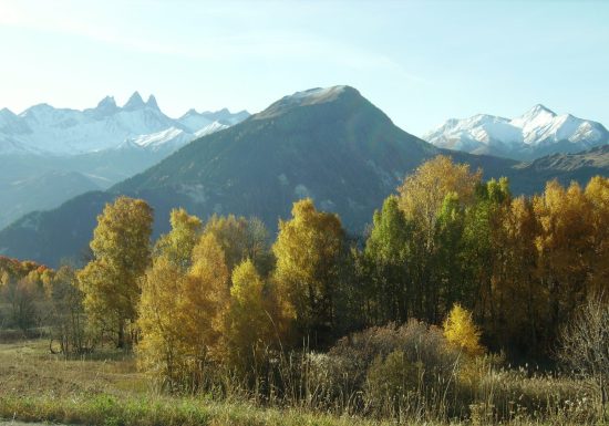 Le Chemin de Montfalcon