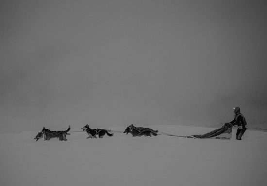 La Grande Odyssée Royal Canin