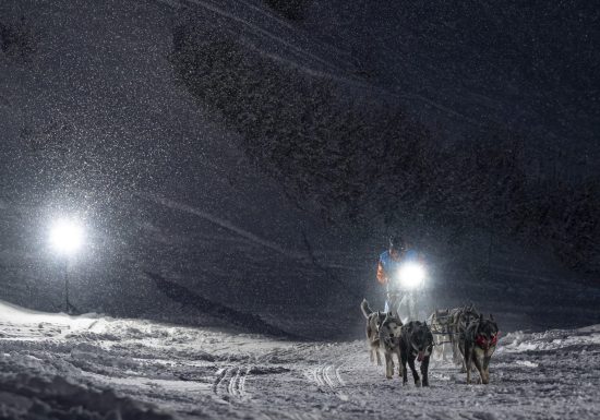 La Grande Odyssée Royal Canin