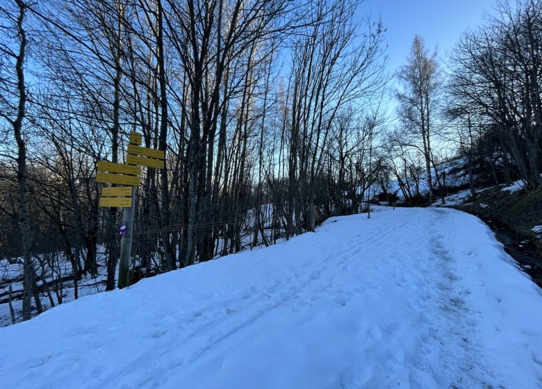 Le sentier du Haut