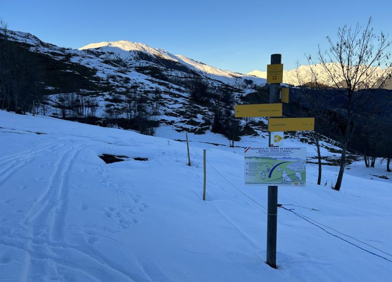 Le sentier du Haut