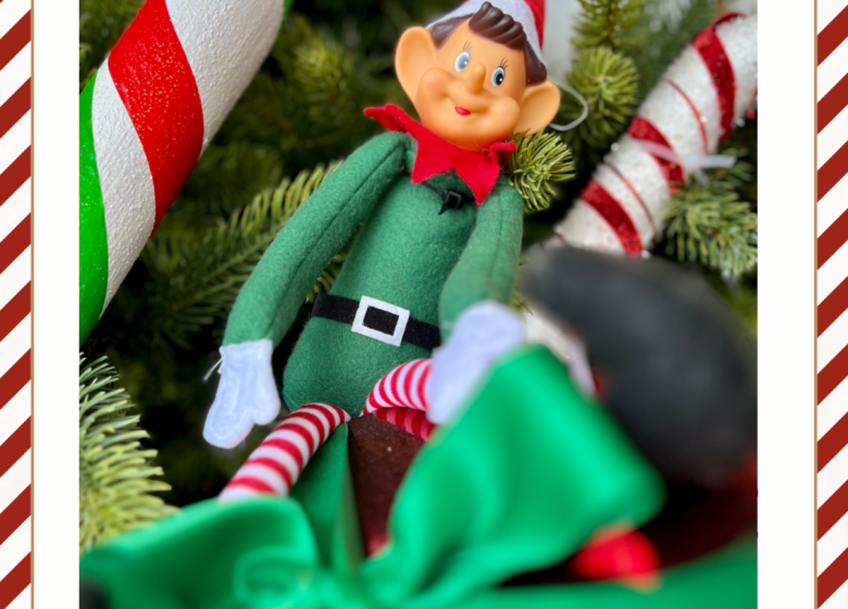 À la recherche des lutins farceurs !