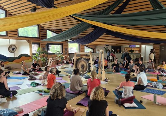 Relaxation sonore aux gongs avec La voie du Phoenix – HYGGE WINTER