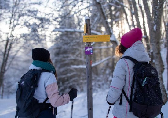 Découverte des Bottières