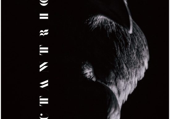 Concert de musique nordique – Octantrion