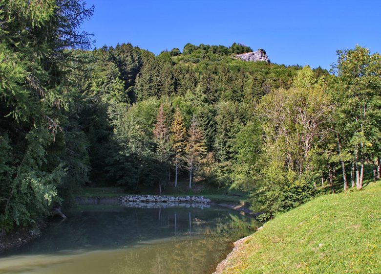 Aire de pique-nique du Lac du Lou