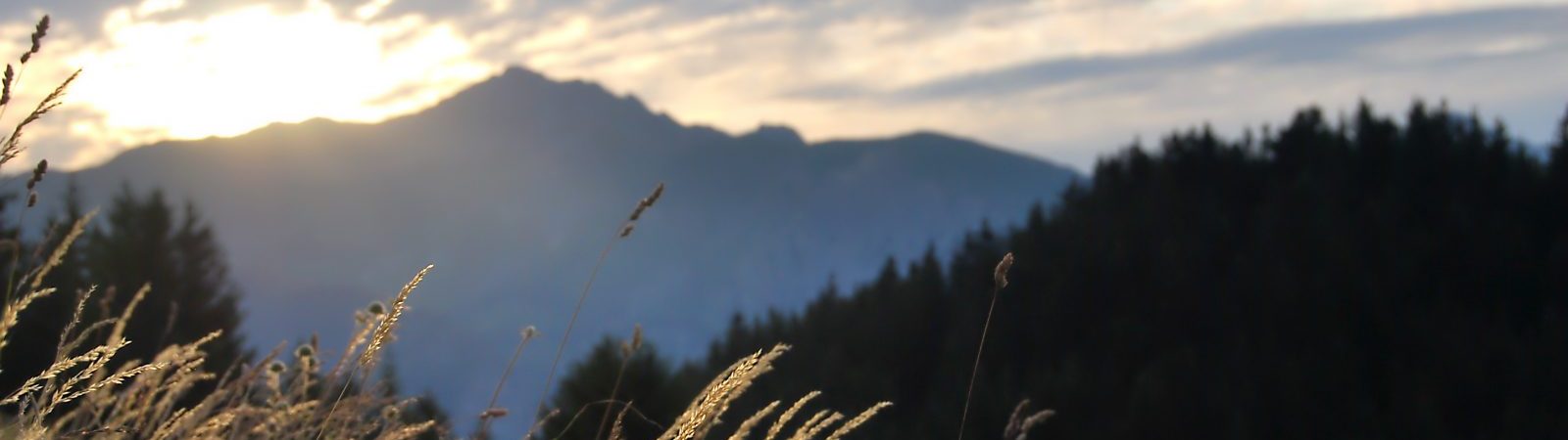 Sentier botanique du Sapey