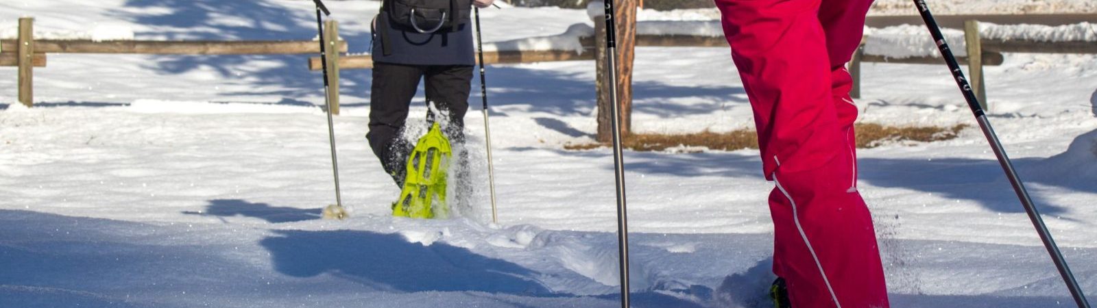 Le sentier du haut de Jarrier