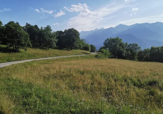 Montée de Saint-Michel 1650 (La Perousaz) par la Porte