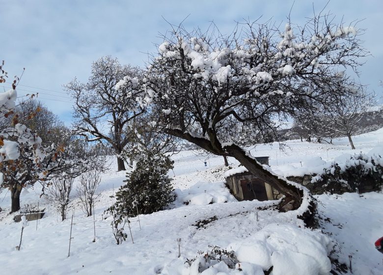 La Ferme d’Angeline