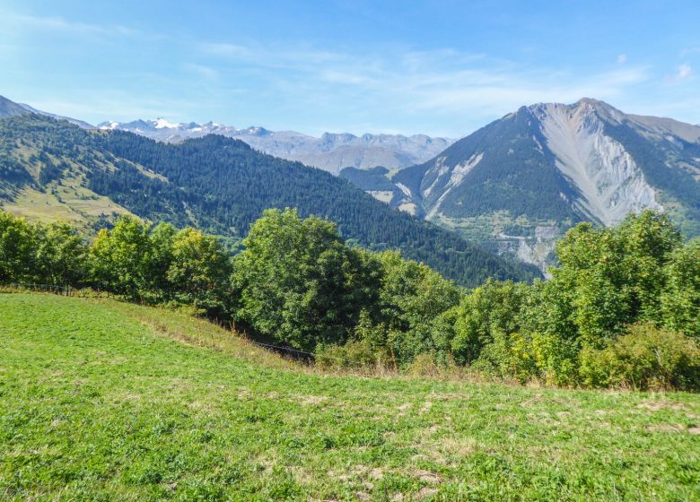Montée au Col du Mollard