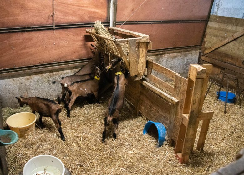 La Ferme des Brebiquettes