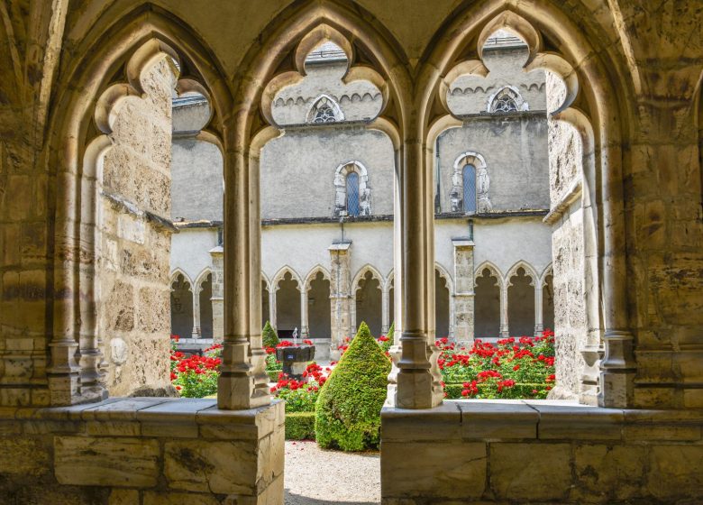 Visite guidée groupe – « 1000 ans d’histoire dans la Cathédrale »